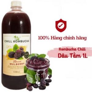 Chill Kumbucha Mulberry Vgreens